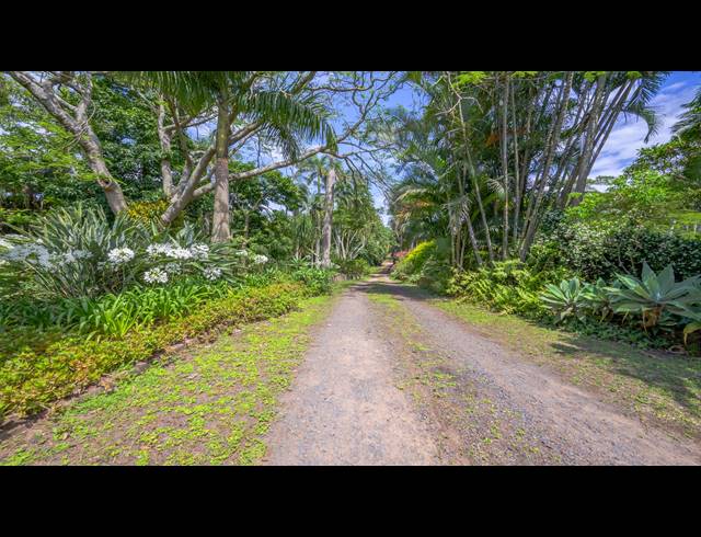 70,140M² FARM FOR SALE IN BALLITO CENTRAL
